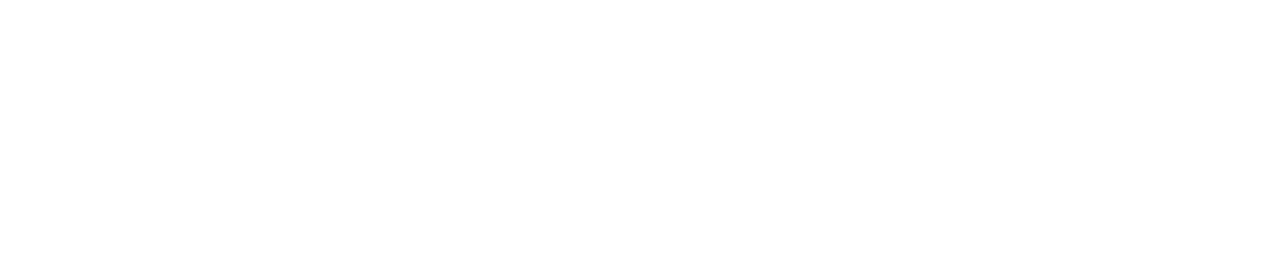 J.P.Morgan J.P.Morgan