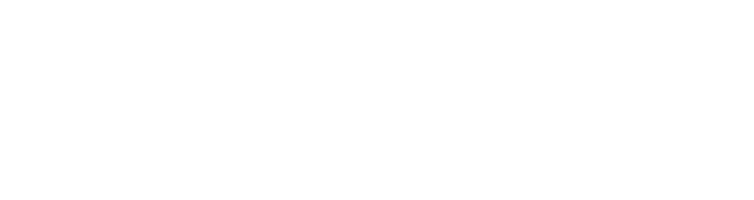 Earnix Earnix